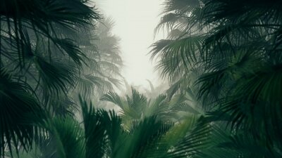 Papier peint  Jungle 3D feuilles