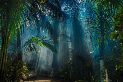 Tableau  Jungle saphir