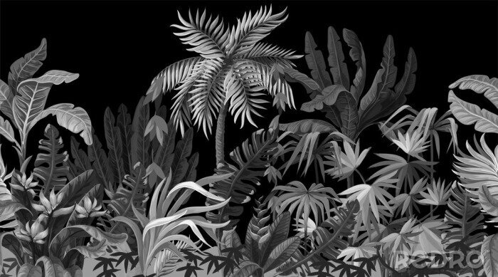 Tableau  Jungle sur fond noir