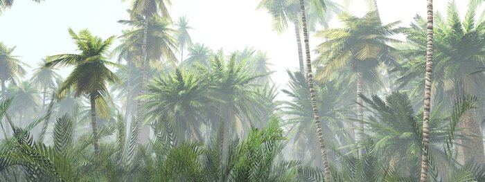 Tableau  Jungle tropicale paysage légèrement brumeux