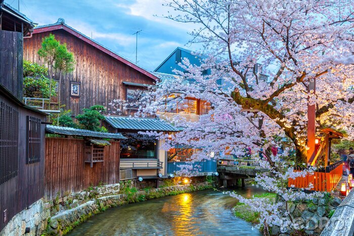 Tableau  Kyoto, Japan at the Shirakawa River in the Gion District during the spring cherry blosson season.