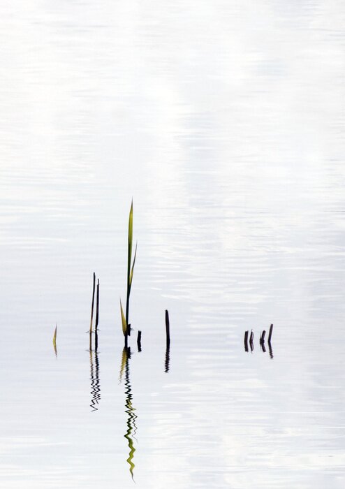 Tableau  L'eau déjà