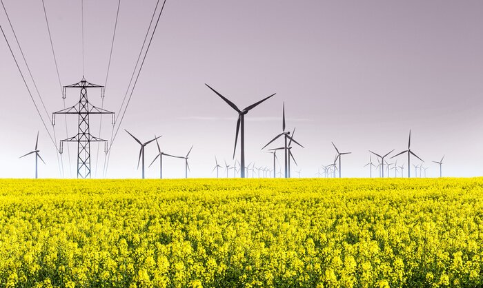 Tableau  l'énergie éolienne