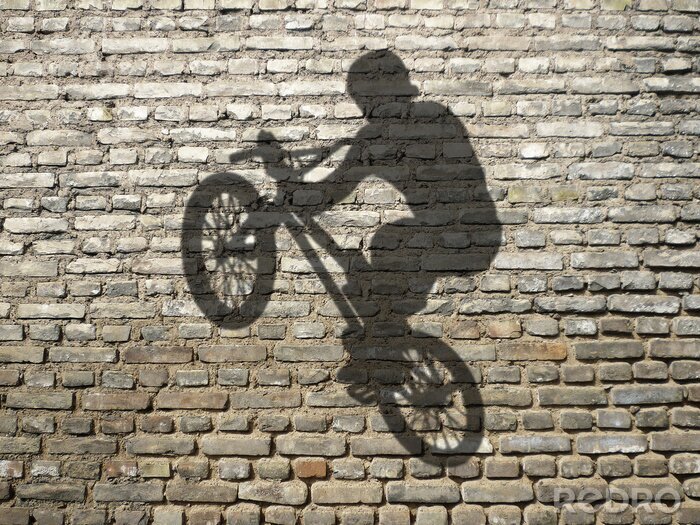 Tableau  L'ombre d'un cycliste sur un mur