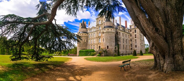Tableau  L'un des plus beaux et mystérieux châteaux de France - Chateau de Brissac, Val de Loire