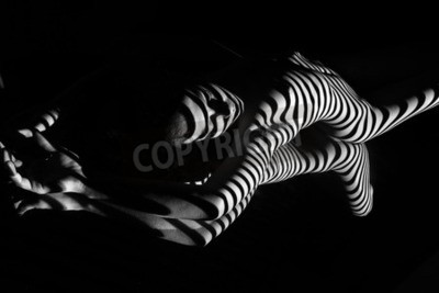 Tableau  La femme nue et son reflet avec des rayures noires et blanches de zèbre. Photo en noir et blanc créée avec le projecteur