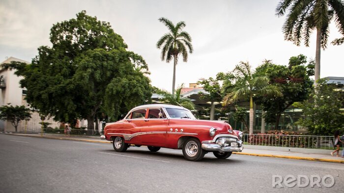 Tableau  La Havane en voiture
