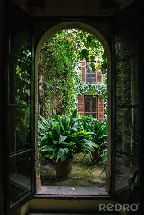 Tableau  La jungle derrière la fenêtre