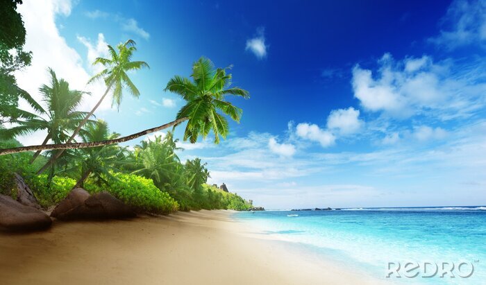 Tableau  La mer de sable et de palmiers
