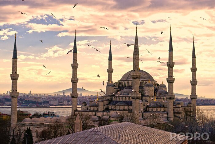 Tableau  La Mosquée Bleue, Istanbul, Turquie.