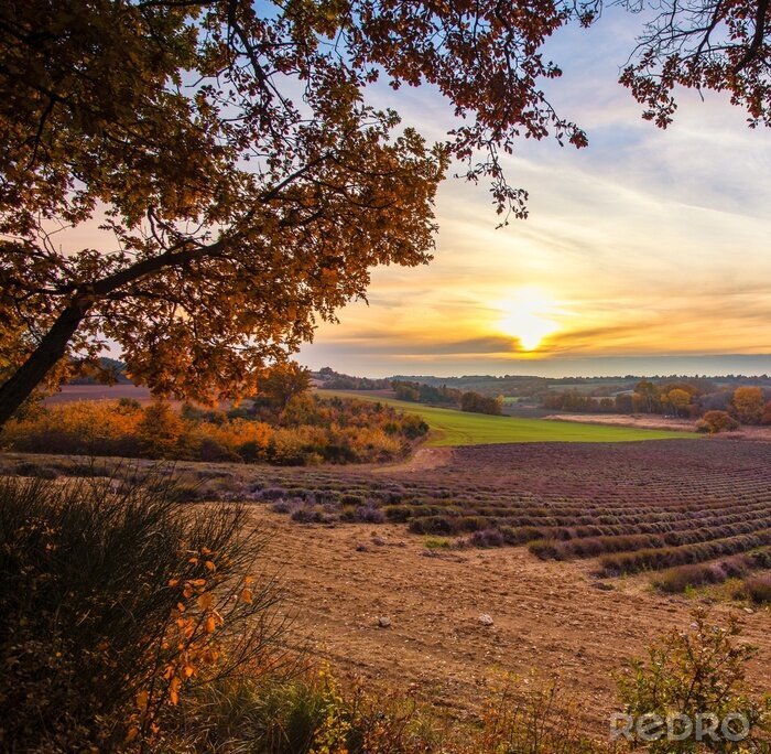 Tableau  La nature en automne