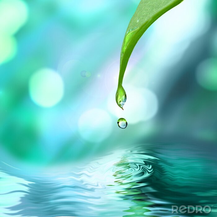 Tableau  La nature et une goutte d'eau pure