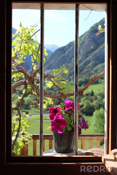 Tableau  La nature vue d'une fenêtre