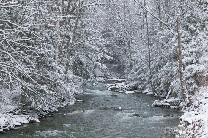 Tableau  La neige recouvre les arbres de pins sur le côté d'une rivière en hiver.