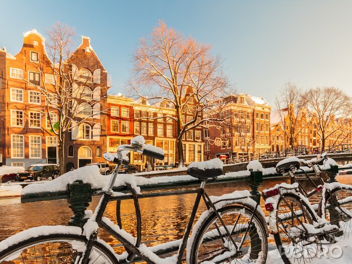 Tableau  La neige sur les vélos à Amsterdam