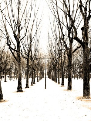 Tableau  La route sur fond d'arbres d'hiver