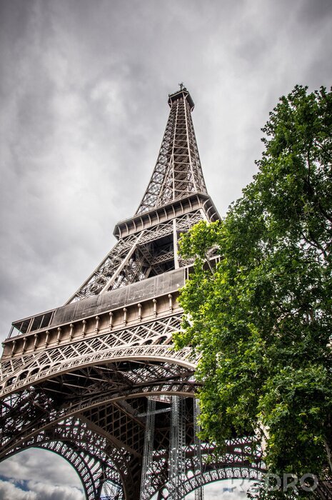 Tableau  La Tour Eiffel Dominante 2
