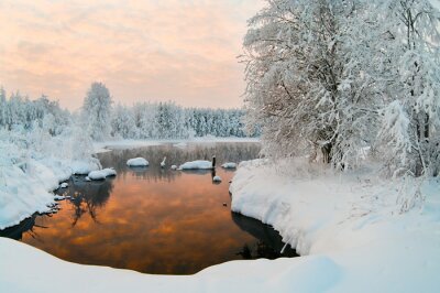 Tableau  Lac dégelé dans les forêts de l'hiver de la Carélie, en Russie
