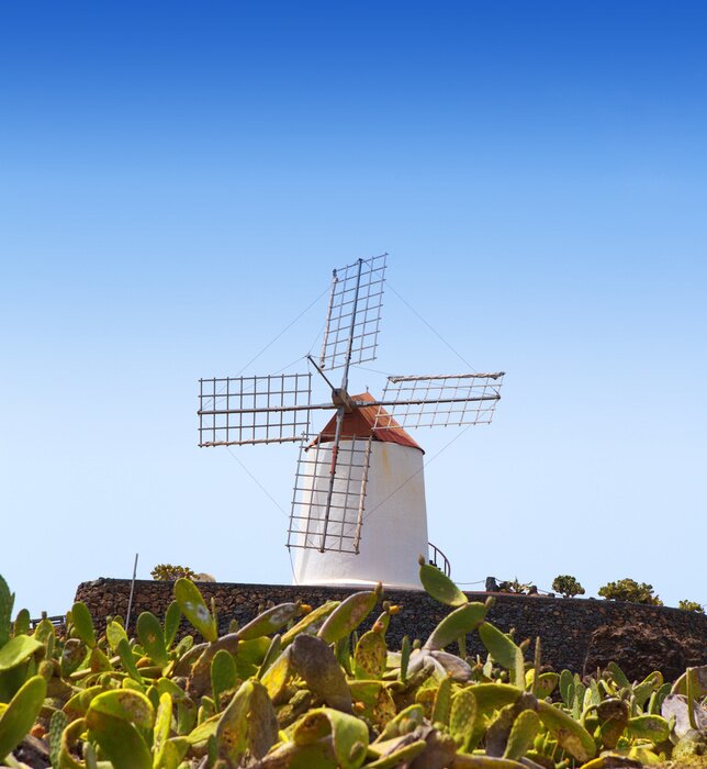 Tableau  Lanzarote Guatiza moulin à vent