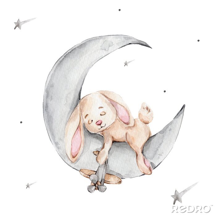 Tableau  Lapin dormant sur une lune grise