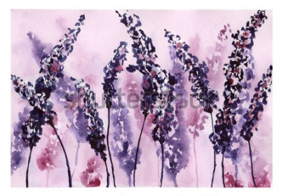 Tableau  Lavande à l'aquarelle violette