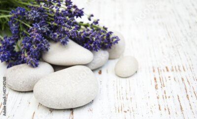 Tableau  Lavande sur pierres