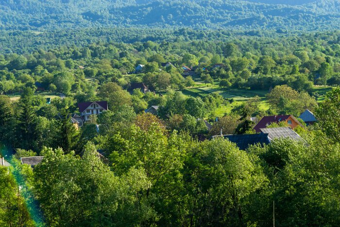 Tableau  Le beau comté de Maramures en Roumanie