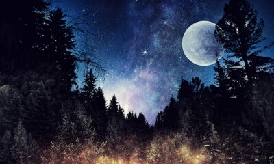 Tableau  Le ciel étoilé et la lune. Médias mélangés