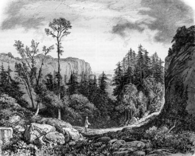 Tableau  Le désert de JJ Rousseau, illustration gravée vintage. Magasin Pittoresque 1861.