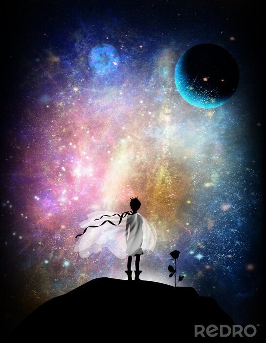 Tableau  Le Petit Prince et Rose dans l'espace