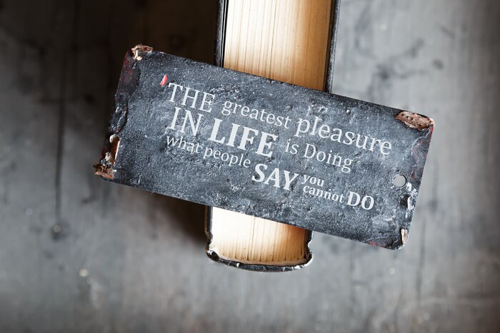 Tableau  Le plus grand plaisir dans la vie est en train de faire ce que les gens disent que vous Caho