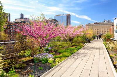 Tableau  Le printemps à la High Line à New York