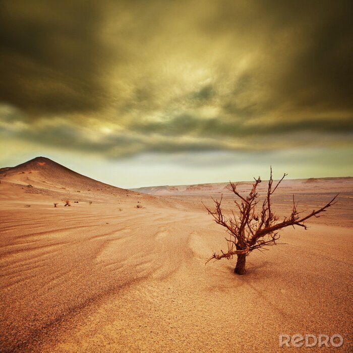 Tableau  Le sable du désert