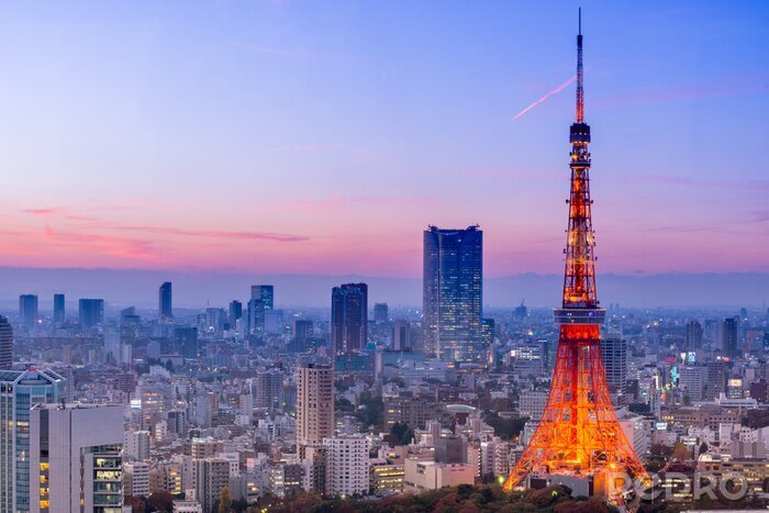 Tableau  Le Tour de Tokyo avec la ville en arrière-plan