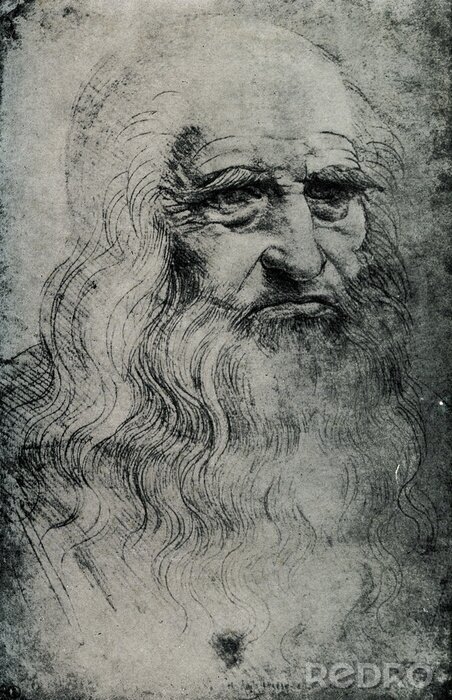 Tableau  Leonardo da Vinci, italien penseur de la Renaissance