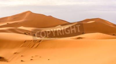Tableau  Les dunes de sable d'Erg Chebbi du désert marocain