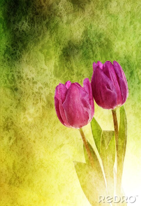 Tableau  Les fleurs de tulipe