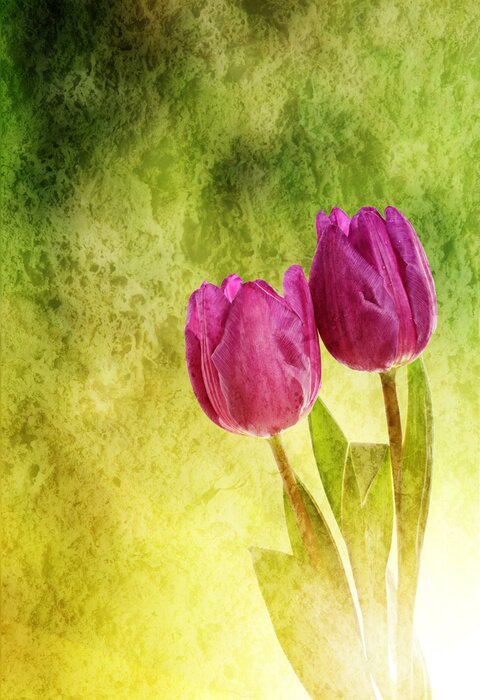 Tableau  Les fleurs de tulipe