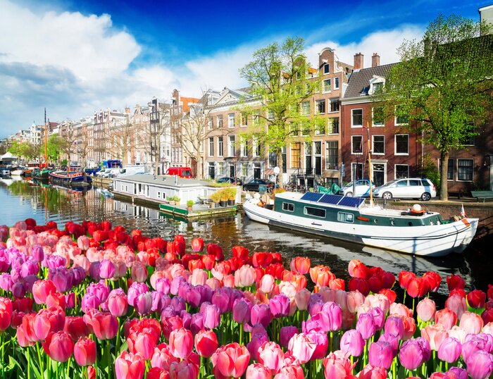 Tableau  Les tulipes à Amsterdam