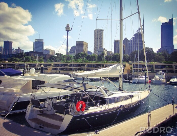 Tableau  Les yachts de Sydney, en Australie