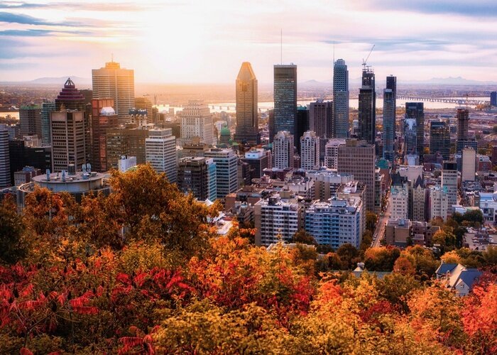 Tableau  Lever de soleil de Montréal avec des feuilles colorées