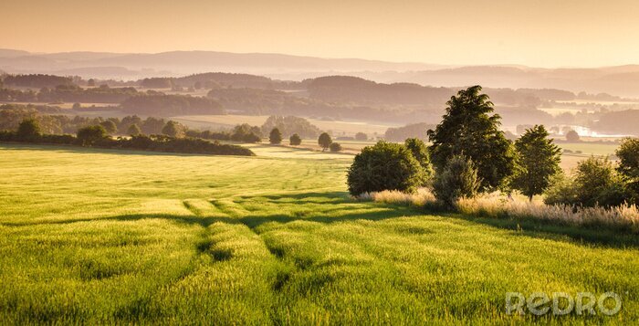Tableau  Lever de soleil près de la panorama des collines