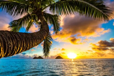 Lever de soleil sur Hawaii