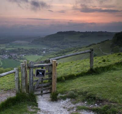 Tableau  Lever du soleil vibrant sur le paysage de campagne