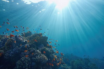 Tableau  Life-giving sunlight underwater. Sun beams shinning underwater on the tropical coral reef. Ecosystem and environment conservatio