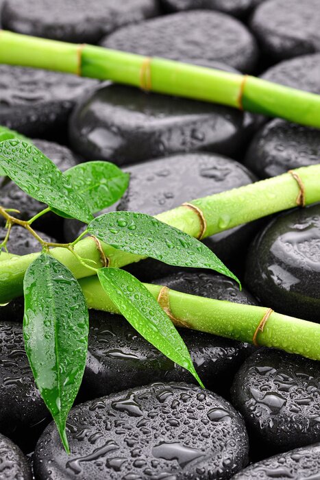 Tableau  Líščie z bambusami na kamieniach faire spa