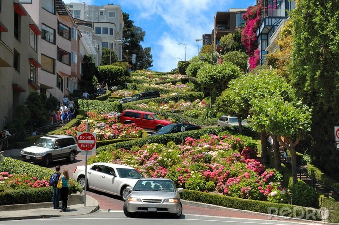 Tableau  Lombard Street à San Francisco