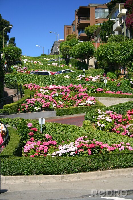 Tableau  Lombard Street à San Francisco