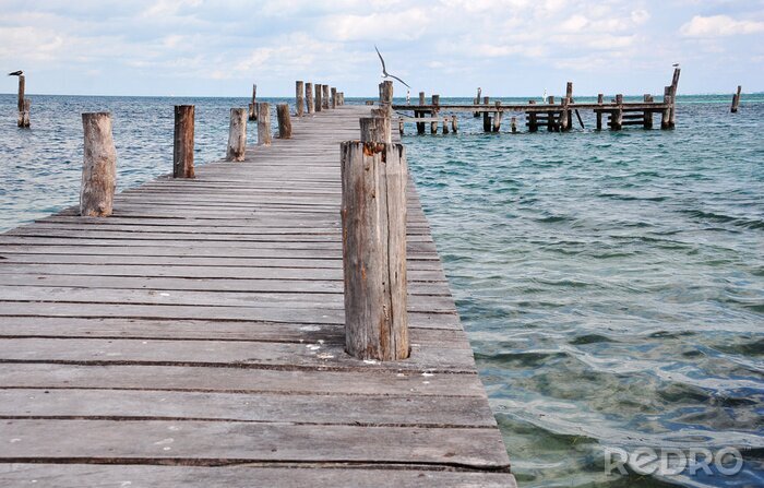 Tableau  Longue jetée en bois