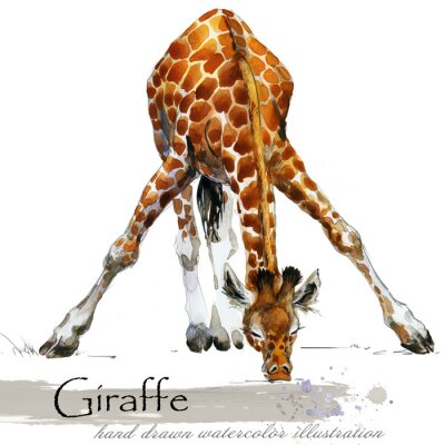 Tableau  Longues pattes de girafe
